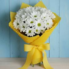 Букет цветов из:  Хризантемы в Посёлок Раменской Агрохимстанции
