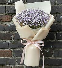 Букет цветов из:  Гипсофила в Посёлок Раменской Агрохимстанции