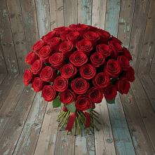 Букет 55 Красных роз Фридом #REPLACE_PRED# Посёлок Раменской Агрохимстанции