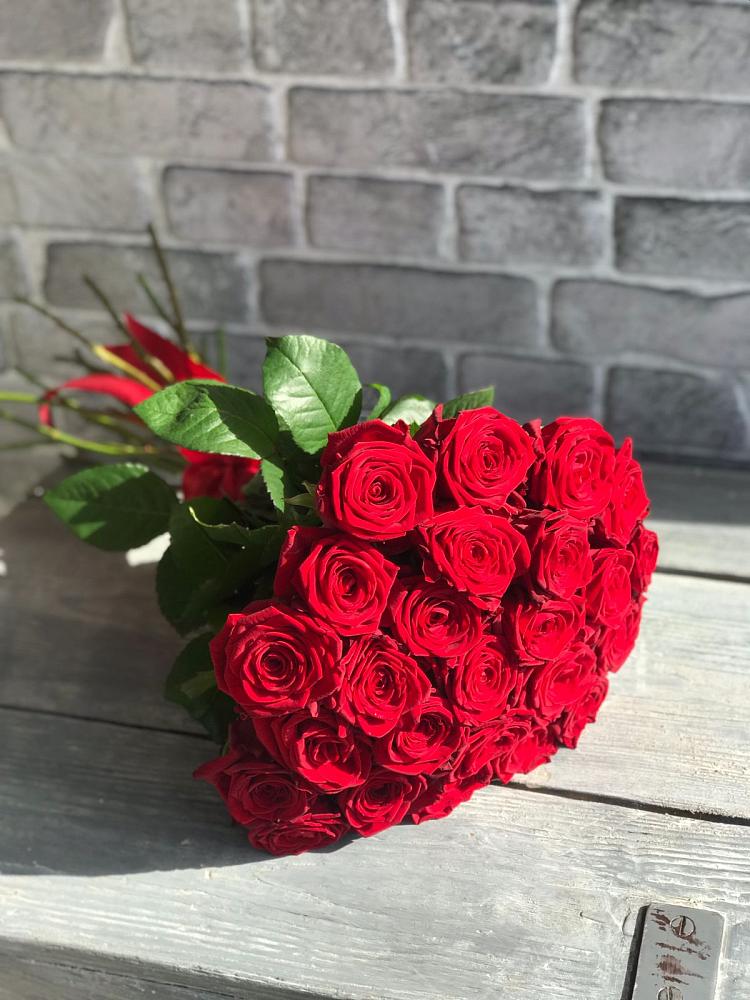 Букет Красные розы Фридом в Посёлок Раменской Агрохимстанции