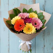 Букет цветов из:  Герберы в Посёлок Раменской Агрохимстанции