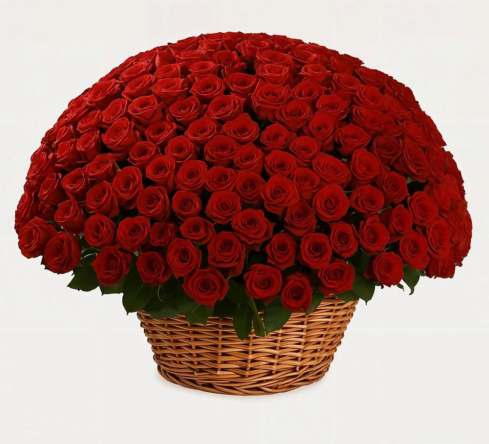 Премиум букет из: Розы в Посёлок Раменской Агрохимстанции