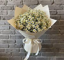 Букет цветов из:  Ромашки #REPLACE_PRED# Посёлок Раменской Агрохимстанции