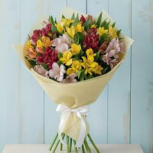 Букет цветов из:  Альстромерии в Посёлок Раменской Агрохимстанции