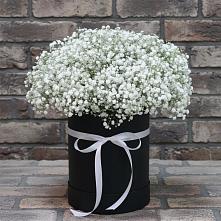 Цветочная композиция из Гипсофила в шляпной коробке в Посёлок Раменской Агрохимстанции