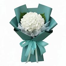 Букет цветов из:  Гортензия в Посёлок Раменской Агрохимстанции